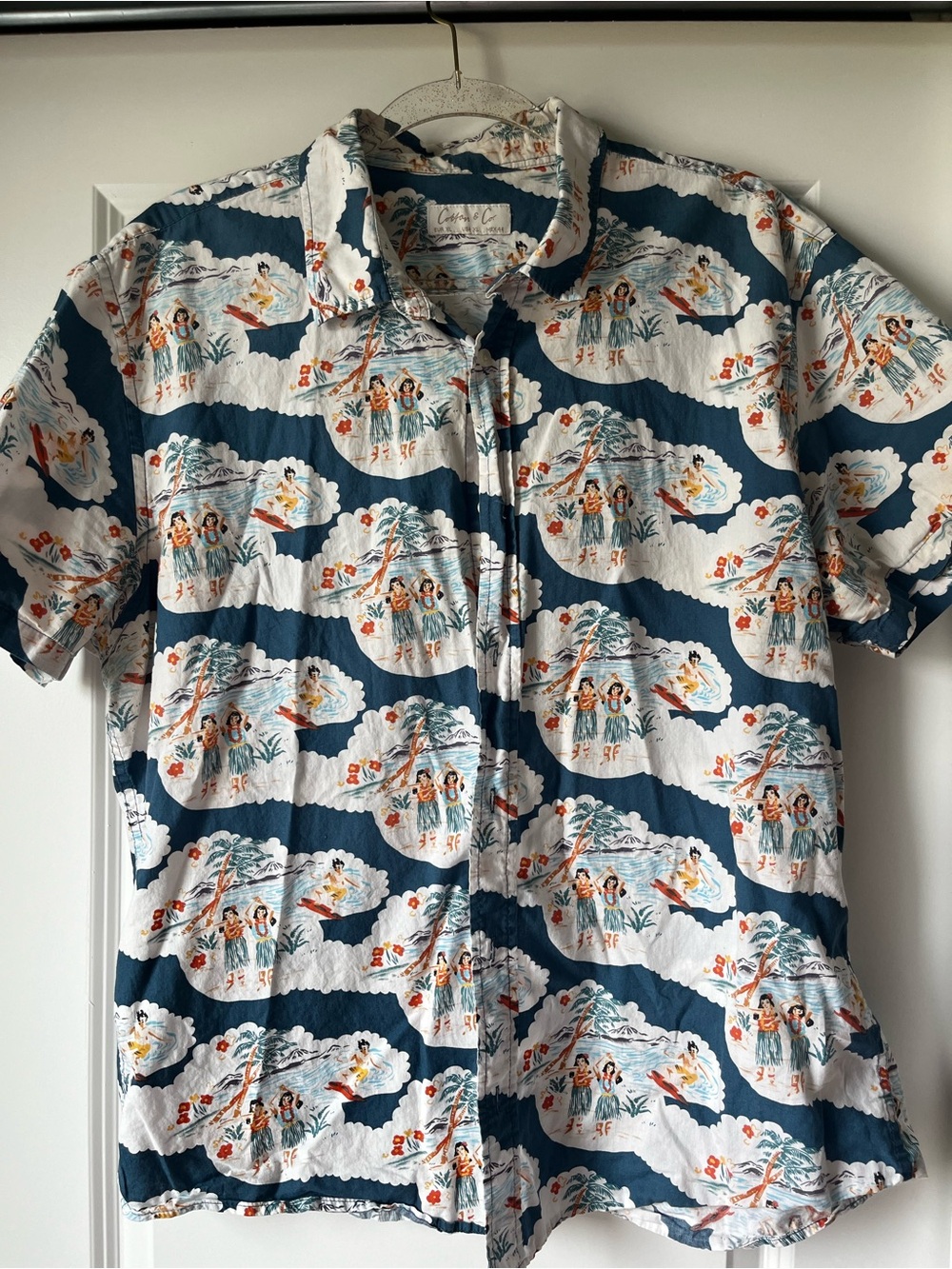 Men's Casual Short-Sleeve Button-Down Shirt in Teal and White